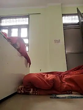 Desi Bhabi 01 online show from February 2026 03:34:02 AM