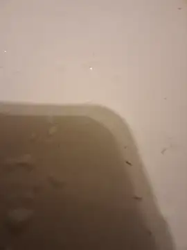 Snapshot of moasslicker chatting on October 2025 04:46:01 AM moasslicker online show from October 2025 04:46:01 AM