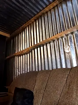 Thenaughtyboy360 online show from December 2025 10:06:02 PM