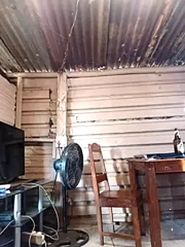 Snapshot of paptsimo chatting on July 2026 02:04:01 PM paptsimo online show from July 2026 02:04:01 PM