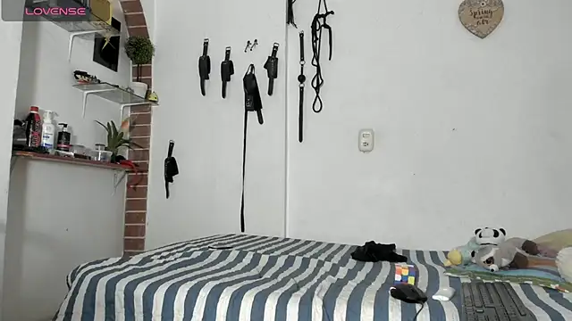 morbo total69 online show from March 2026 10:16:01 PM