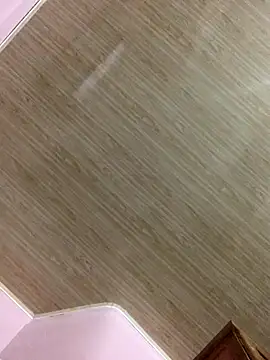 dailydosam online show from December 2025 12:21:02 PM