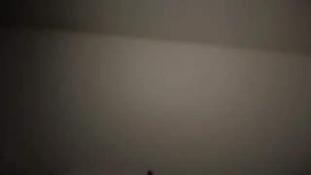 refem9 online show from April 2026 09:23:01 PM