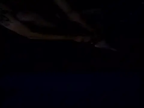 Snapshot of Crossedsissy chatting on December 2025 05:34:01 AM Crossedsissy online show from December 2025 05:34:01 AM