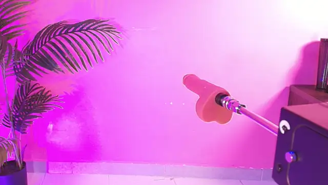 Lana ortega online show from April 2026 04:06:02 AM