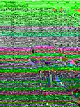 kamo012000 online show from June 2026 10:08:02 AM