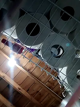 Single lagunero online show from March 2026 06:34:02 PM