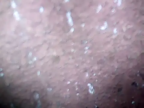 20cmloiro online show from February 2026 09:53:01 AM