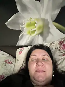 Liza Will online show from February 2026 07:48:01 AM