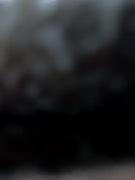 rociomilf online show from December 2025 03:11:01 AM