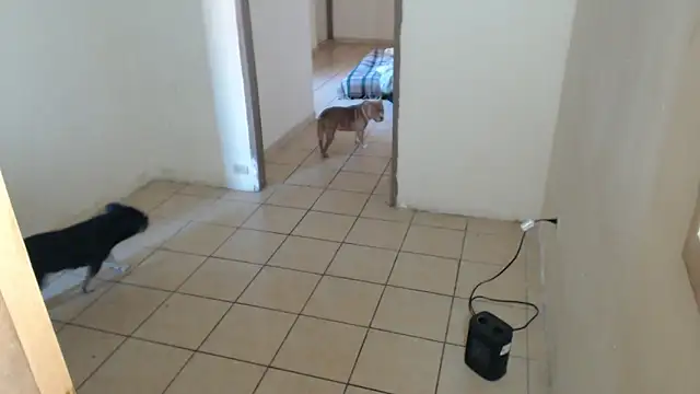 BlondZilla online show from December 2025 08:58:01 PM