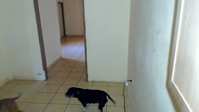 Snapshot of BlondZilla chatting on February 2026 04:16:02 PM BlondZilla online show from February 2026 04:16:02 PM