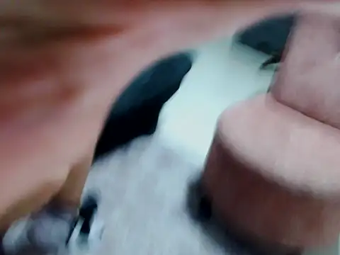 kata-gomez online show from February 2026 03:40:02 AM