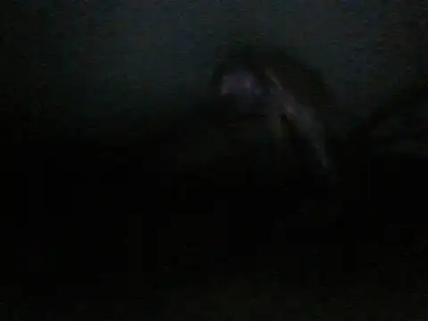 Snapshot of itachi_thebro1 chatting on June 2026 04:12:02 AM itachi thebro1 online show from June 2026 04:12:02 AM