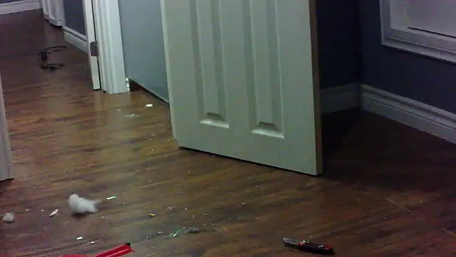 lovemedirty online show from February 2026 07:23:02 AM