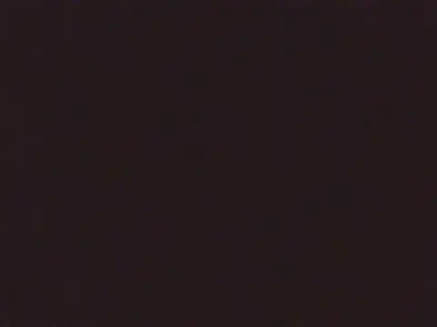 Laurenflex online show from October 2025 02:03:02 PM