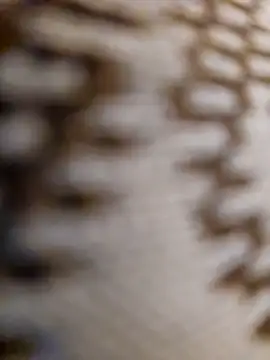 mojaymort online show from November 2025 10:54:01 PM