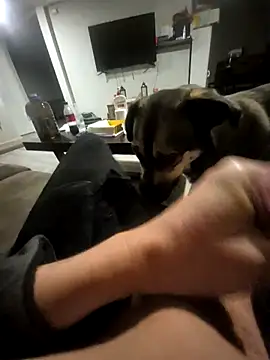 Justme 8519 online show from March 2026 11:10:01 AM