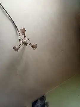 ToughDraft14 online show from April 2026 05:16:02 AM