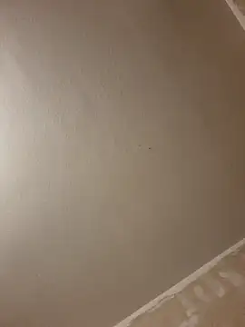 gazb90 online show from January 2026 08:03:02 PM