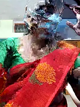 Snapshot of papukurty chatting on November 2025 02:06:01 PM papukurty online show from November 2025 02:06:01 PM