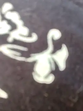 Snapshot of papukurty chatting on February 2026 12:15:01 PM papukurty online show from February 2026 12:15:01 PM