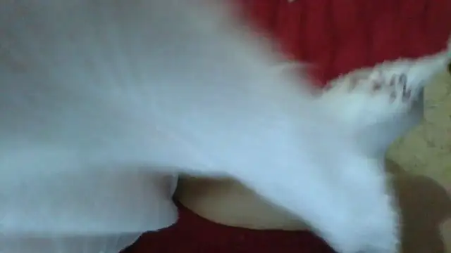 Snapshot of sweetriki chatting on July 2026 05:33:02 PM sweetriki online show from July 2026 05:33:02 PM