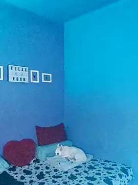 Noty bcn online show from November 2025 12:02:01 AM