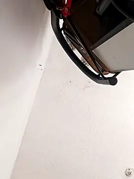 leon8013A online show from November 2025 05:55:02 PM