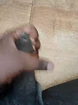 Saikishore00000 online show from September 2025 08:25:01 AM