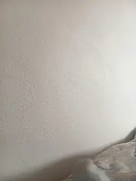 brokoli2 online show from April 2026 12:52:02 PM