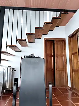 Hiroshi Shen online show from November 2025 11:29:01 AM