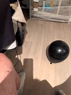 Bimalehung online show from November 2025 01:41:01 AM