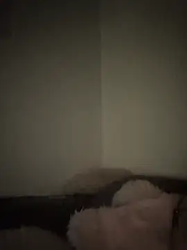 Bimalehung online show from November 2025 02:06:01 AM