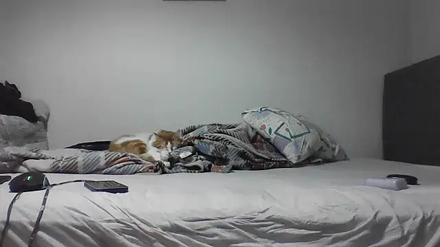 kocasosisli online show from May 2026 05:43:01 PM