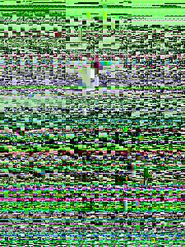 haiyan125216 online show from September 2025 01:16:02 AM