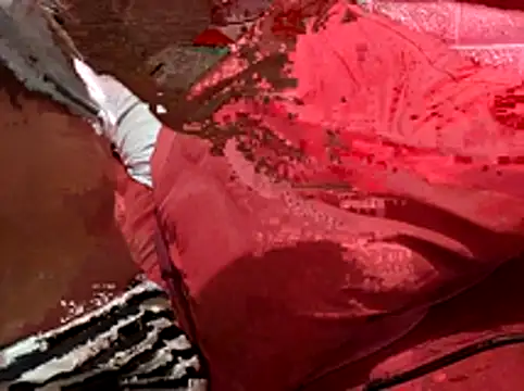 Snapshot of Kellye_hotTs chatting on February 2026 02:17:02 AM Kellye hotTs online show from February 2026 02:17:02 AM