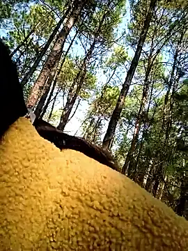 chengcheng12 online show from November 2025 01:38:01 AM