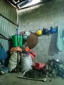 jienrrr online show from February 2026 12:28:02 AM