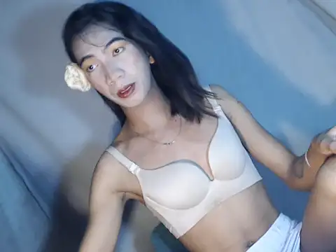 Snapshot of xyourdreamtrans chatting on February 2026 07:19:01 AM xyourdreamtrans online show from February 2026 07:19:01 AM