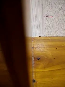 daisylouis online show from March 2026 02:49:01 AM