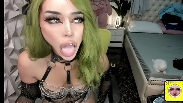 janecomander online show from November 2025 06:07:02 PM