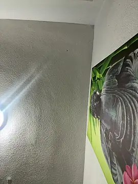 aavrdvh33 online show from February 2026 10:26:02 PM