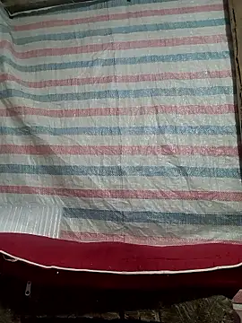 Many lize online show from November 2025 11:03:01 PM