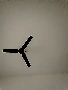 Snapshot of shreyas79 chatting on October 2025 06:19:02 AM shreyas79 online show from October 2025 06:19:02 AM