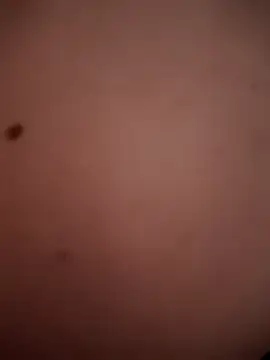 TuryxXx online show from December 2024 02:05:02 PM