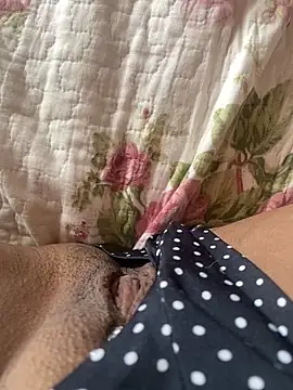 Snapshot of pretalst chatting on February 2026 11:33:01 AM pretalst online show from February 2026 11:33:01 AM