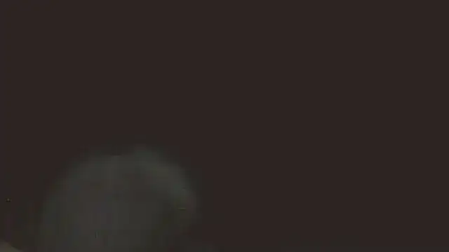 Snapshot of pietje1991 chatting on May 2026 11:36:01 PM pietje1991 online show from May 2026 11:36:01 PM