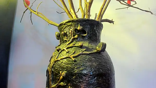 winderling online show from September 2025 07:36:02 PM