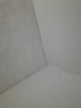 velozte5678 online show from March 2026 07:03:02 AM